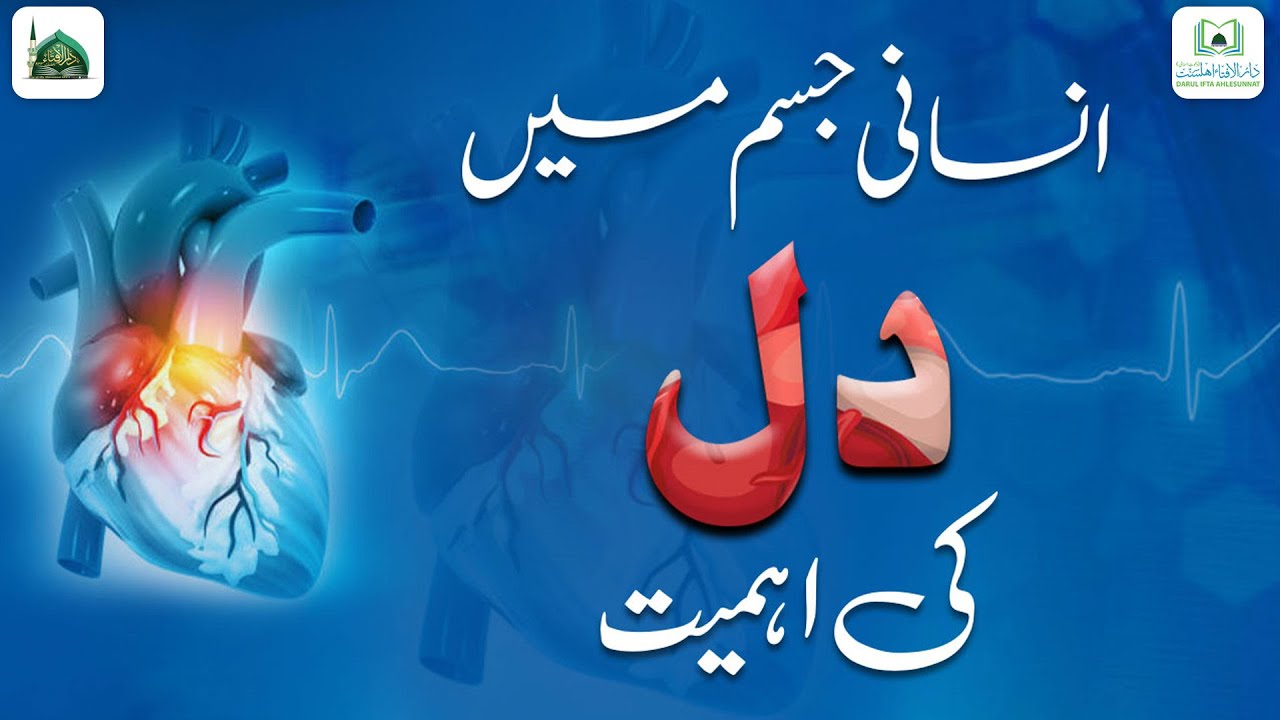 Insani Jism Me Dil Ki Ahmiyat